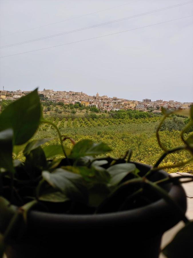 Il Primo Fiore Ното Экстерьер фото